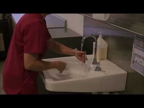 How to Hand Wash (Descriptive Video)