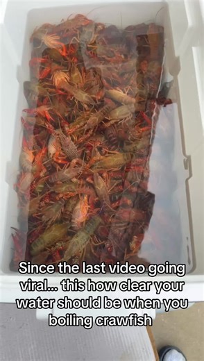 Boiling Crawfish: How Clear Should Your Water Be?
