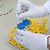 Video: Metabolic Glycoengineering of Sialic Acid Using N-acyl-modified Mannosamines