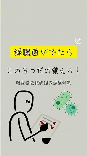 【緑膿菌】 #感染症 #総合診療 #臨床検査技師 #検査技師学生 #微生物学