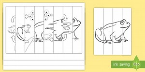 Frog Life Cycle Agamographs Colouring Pages