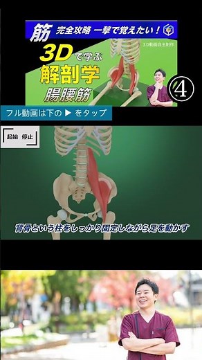 Why does the iliopsoas muscle originate from the lumbar spine? A physical therapist reveals the t...