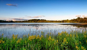 Six Fun And Informative Things To Do In Monaghan