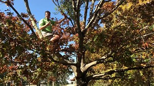 It's the season finale of What's Blooming on Campus! Check the video to see what kind of holiday plant Bob has in store for our last episode. *Comment below to let us know what kind of videos you would like to see next semester!* | LSU College of Agriculture