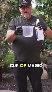 How to clean your Pentair Salt Cell— the easiest and safest way