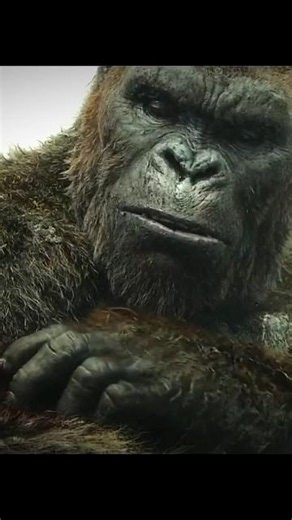 KONG vs GAINT SQUID -FIGHT SCENE - KONG SKULL ISLAND(2017) MOVIE CLIPS