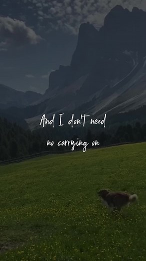 Popular music на TikTok