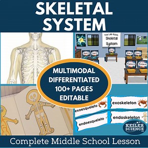 Skeletal System Complete Lesson Plan - Grades 6 7 8