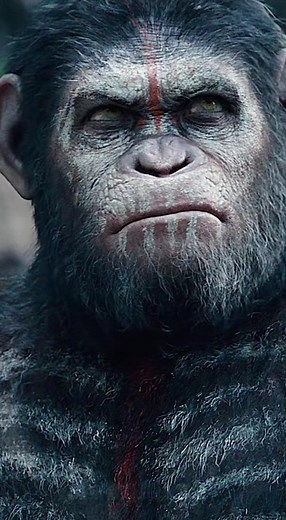 War of the Planet of the Apes: Ape Evolution and Conflict