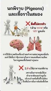 Do You Feed Pigeons or Have Them on Your Balcony? You Might Be Breathing in Deadly Fungi! 🕊️🏚️⚠️