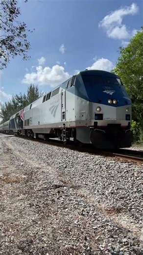 79 MPH Full Speed Amtrak Silver Meteor Northbound to Sebring