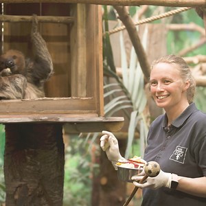 346 reactions · 24 comments | There's something for the whole pride to explore at Edinburgh Zoo! | Edinburgh Zoo | Facebook