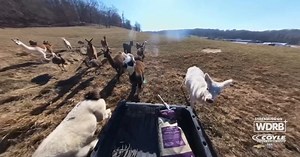 Crossroads Season 2 debuts on WDRB  with a trip to Paoli, Indiana