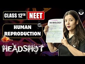 Human Reproduction Complete Chapter Rapid Revision | Class 12 Biology | Board & NEET 2025 | Medjeex