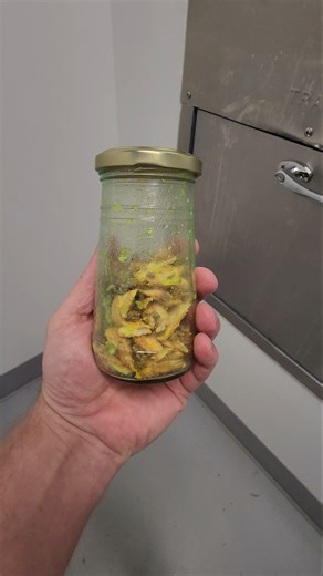 Radioactive Meat Product - October 16, 2025 - Down The Garbage Chute #191