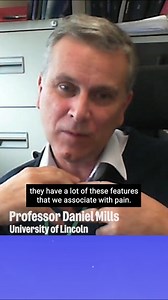 15K views · 56 reactions | How might we use AI in future to improve animal welfare, and what are the likely challenges? ‍ Professor Daniel Mills delves into the opportunities whilst describing our existing methods of communication with animals and what attracts us to certain breeds. Listen to Animal Futures the podcast now: https://bit.ly/4gkYwuq | RSPCA (England & Wales) | Facebook