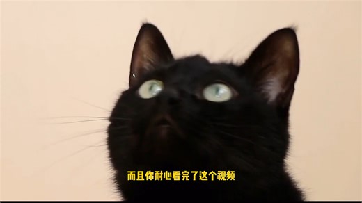 如何恢复电脑误删的视频,恢复电脑误删资料,【这个办法轻松找回】