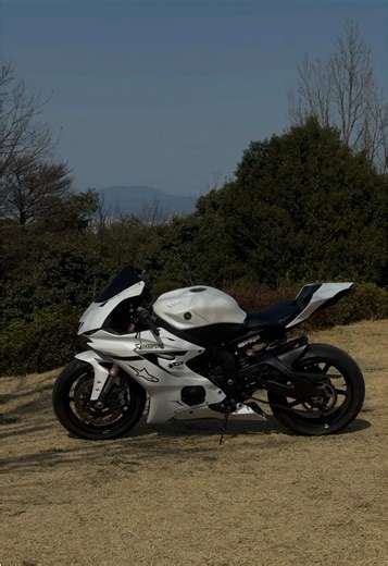 Yamaha R6: Performance and Features Overview
