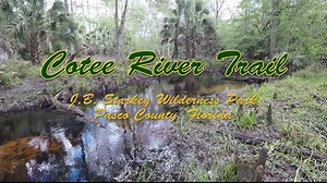 3.9K views · 31 shares | Cotee River Trail - J.B. Starkey Wilderness...