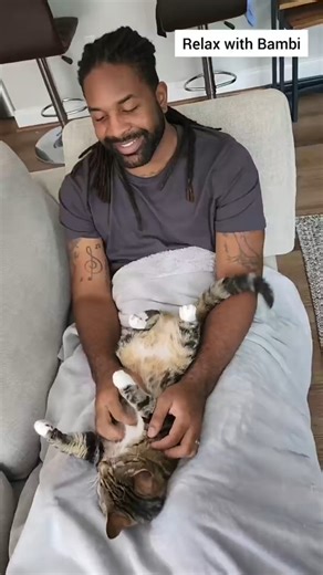 The @LitterRobot 4 taking care of things a clean home & litter box with none of the work! #sponsored #thelitterrobot-210 | Fostering kittens