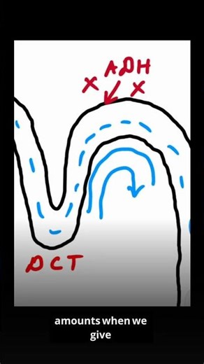 In NDI kidneys resist ADH; thiazides cause mild volume loss, boosting proximal Na+ water.