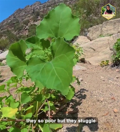 1M views · 28K reactions |  Tough Roads, Beautiful Skills  Tribal Women Catching Fish  | CiscoKid & Kenna | Facebook