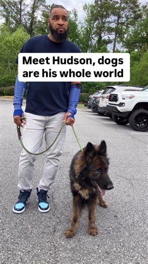 22K views · 950 reactions | Meet Hudson – for the past 3 years, he’s...