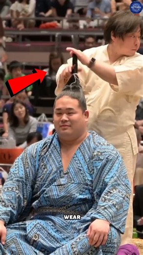 Why Sumo Wrestlers Have This Unique Hairstyle #Sumo #Japan #Facts