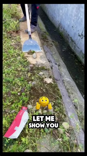 Effective Back-Friendly Snow Shovel for All Seasons