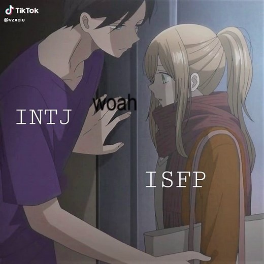 Understanding INTJ and ISFP Personality Types