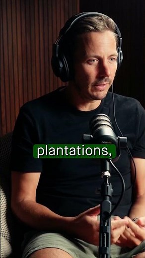 WHY DEFORESTATION REALLY HAPPENS