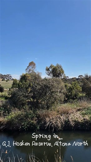 🏵️ Spring across Hobsons Bay 🐝 | Hobsons Bay City Council