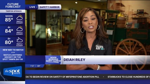 Safety Harbor couple heats up Main Street with Spice of the Harbor