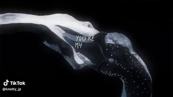 all of me - john legend... #johnlegend #allofme #song #lyricsvideos #lyrics_songs