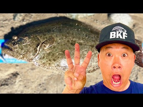 My Top 3 Techniques to catch HALIBUT [SoCal Surf Fishing 2023]