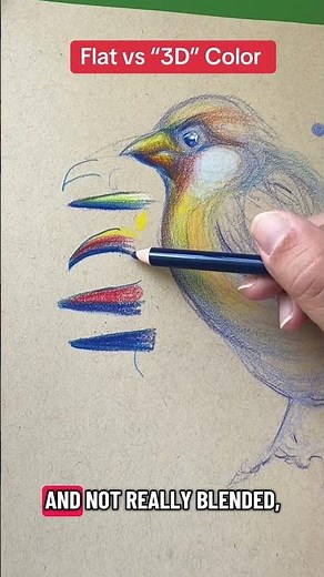 How to draw with color when drawing a bird to create 3D effects #drawingtutorials #colortheory