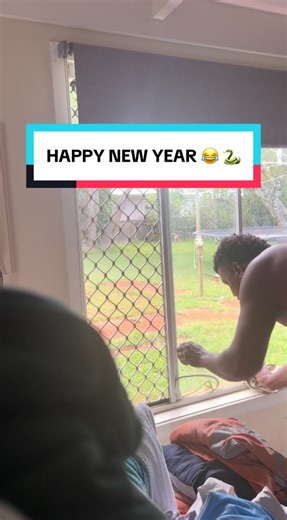 New Year's Day Adventure with a Green Tree Snake