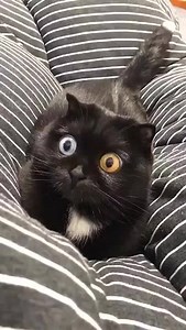 1M views · 10K reactions | Nature Lovers Club | Nature lovers club | Facebook