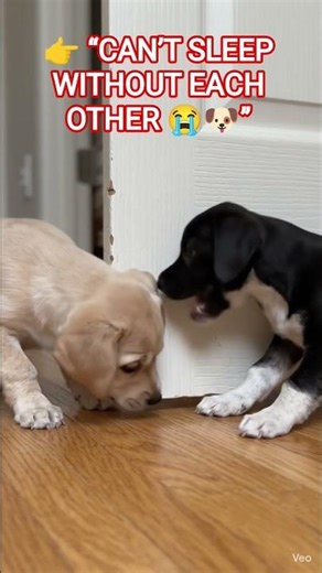 Dio è buono ✝️✨ #preghieradelmattino #oraçãoforte #preghieraforte #jesus #amen #jesusisgod