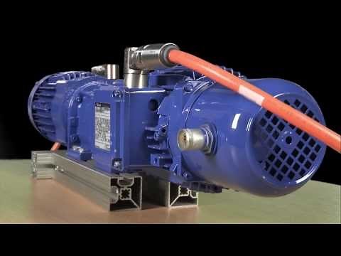 Bauer Gear Motor - Guide to IE4