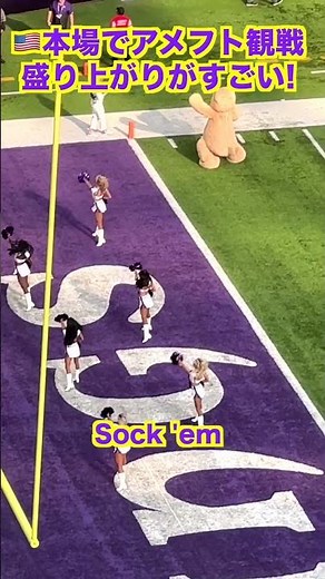 【SKOL Vikings】Minnesota Viking Fight Song with Lyrics 🏈