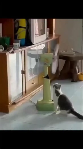 Viral Whisker on Instagram: "In Japan, researchers are using smart walkways to turn everyday activities into clean energy 4. These roads are embedded with special piezoelectric material that can collect kinetic energy from pedestrians' footsteps. When people walk, run or jump, the road surface is slightly deformed, creating mechanical pressure. Piezoelectric crystals convert this pressure into electrical energy. This energy can be used to illuminate street lights, power public displays, and even