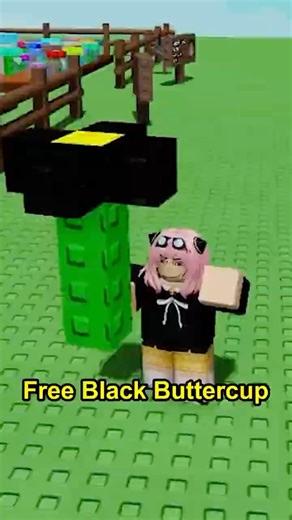Best Black Buttercup Method #roblox #growagarden