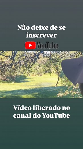 87 reactions | #brutosdojava | Brutos Do Java | Facebook