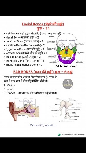 160K views · 1.4K reactions | #biology | Teacher Exam Notes | Facebook