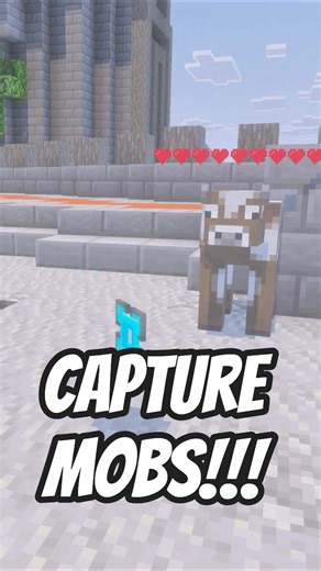 Catch Mobs and Move Blocks in Minecraft #minecraft