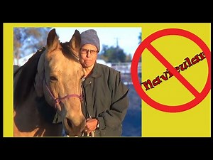 When Navicular Syndrome is Misdiagnosed