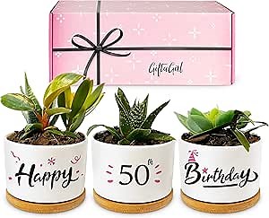 GIFTAGIRL 50th Birthday Gifts for Women - Beautiful Keepsake 50th Birthday Gift Ideas. Our Pretty Pots are Perfect 50th Birthday Decor or Gifts for Women Turning 50 and Arrive Beautifully Gift Boxed