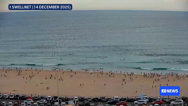Moment beachgoers flee Bondi Beach during mass shooting