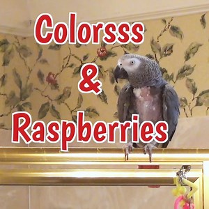 27K views · 1.3K reactions | Einstein and Marcia have a fun...